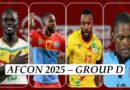 afcon 2025 group d